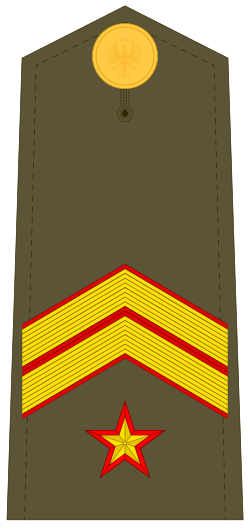 Suboficial Mayor
